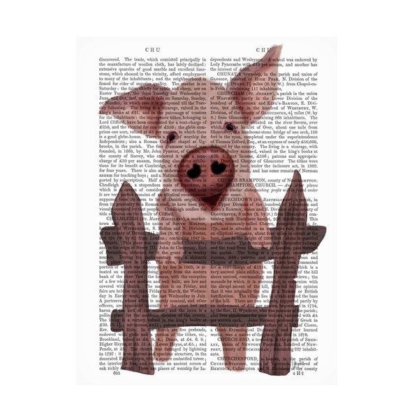 Trademark Fine Art Fab Funky 'Pig On Fence Book Print' Canvas Art, 35x47 WAG18875-C3547GG